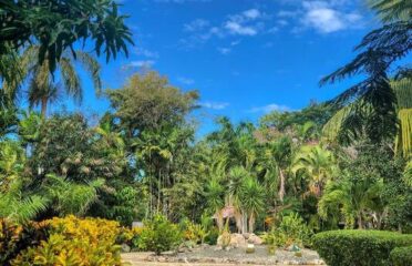 Manati­ Park Punta Cana